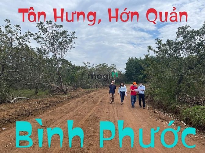 Hình ảnh Bán Đất Nền Tân Hưng, Hớn Quản, Bình Phước