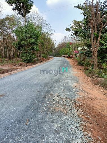 Hình ảnh Bán đất nền Minh Lập Chơn Thành Bình Phước Giá chỉ 350 triệu/nền.