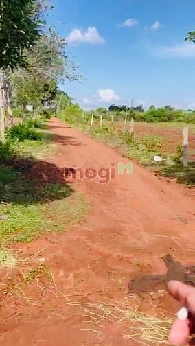 Hình ảnh Đất full thổ cư giá 3tr/m2, 125m2 (5x25) gần KCN, điểm du lịch sinh th
