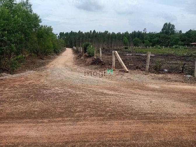 Hình ảnh Bán Đất SIÊU PHẨM 3 Mặt Tiền Full Hồng Tân Xuân Hàm tân