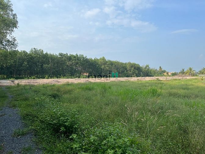 Hình ảnh Cần bán lô đất cách kcn Phước Đông chỉ 1km giá chỉ 700tr