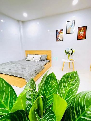 Hình ảnh Căn Hộ Cho Cặp Đôi Phạm Văn Chiêu Gò Vấp