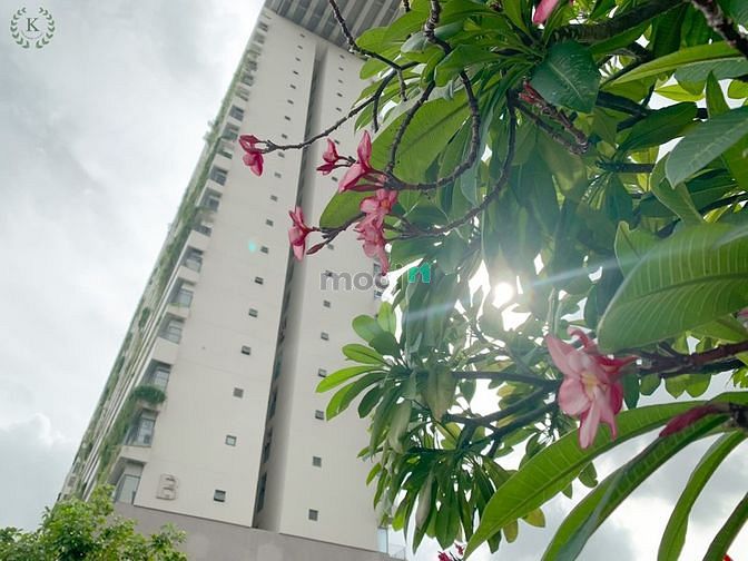 Hình ảnh Cần bán Trang Chủ MB66.COM / Đăng Ký Tặng 66K Diamond Lotus Riverside