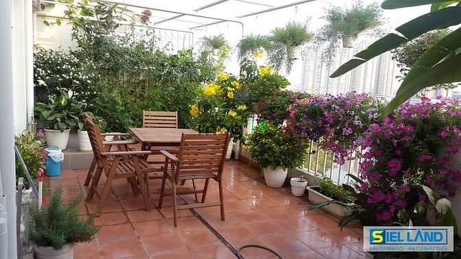 Hình ảnh BÁN CĂN HỘ PENTHOUSE GIÁ RẺ ,phu my hung ,
