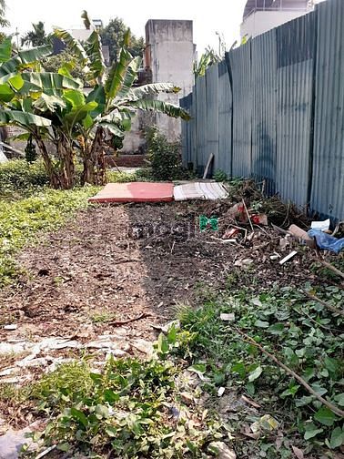 Hình ảnh Bán Đất Nguyễn Văn Nghi P.7 gần ngã 5 Gò Vấp 55m2 chỉ 6.7 tỷ