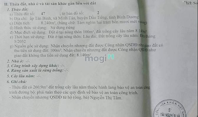 Hình ảnh Bán đất Minh Tân, Dầu Tiếng, DT:52mx250m, TC100m2, SHR, 10,5 tỷ