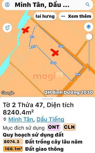 Hình ảnh Bán đất Minh Tân, Dầu Tiếng, DT:52mx250m, TC100m2, SHR, 10,5 tỷ