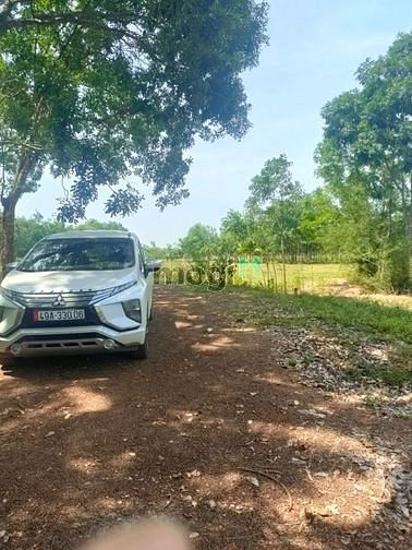 Hình ảnh Đất sổ đỏ riêng 1000m  gần ủy ban lộc Thịnh Lộc Ninh Bình Phước  đường