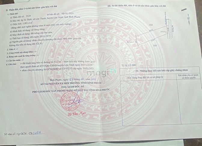 Hình ảnh Đất sổ đỏ riêng 1000m  gần ủy ban lộc Thịnh Lộc Ninh Bình Phước  đường