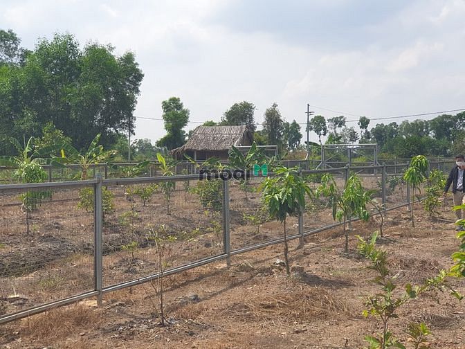 Hình ảnh Đất Vườn Mặt Tiền Kênh, 900m2. Gía 2,45 tỷ.