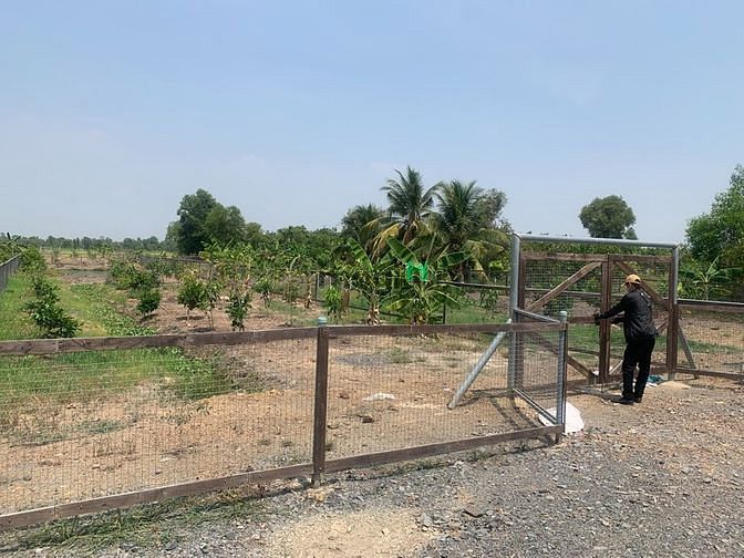 Hình ảnh Đất Vườn Mặt Tiền Kênh, 900m2. Gía 2,45 tỷ.