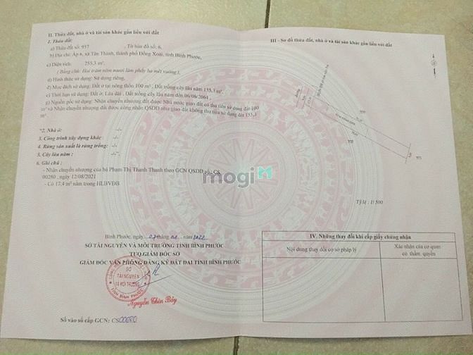 Hình ảnh 2 lô đất liền kề tại Tân Thành TP Đồng xoài 5x51 =255m có 100m tcư , c