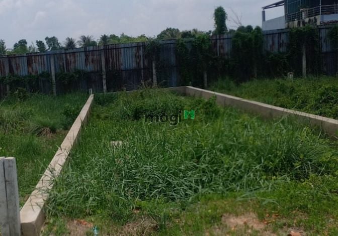 Hình ảnh Bán đất đường Voi Lá, Long Hiệp, Bến Lức. 83m2 thổ cư giá 1 tỷ.
