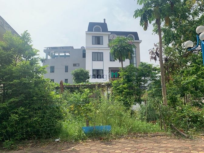 Hình ảnh Bán gấp lô đất 52m khu giãn dân 7,2ha Trâu Quỳ