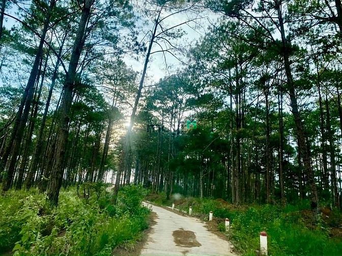 Hình ảnh Đất nền thổ cư Lộc Tân Bảo Lộc view Hồ Ngọc