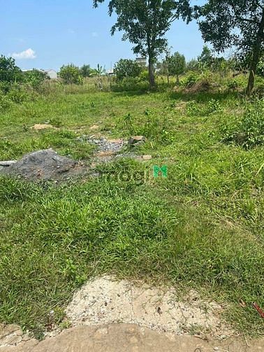 Hình ảnh Đất tâm xuân TP đồng xoài 1ty300tr, ☎️