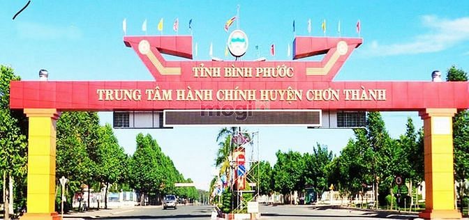 Hình ảnh Chín chủ tôi cần bán lô đất 250m2 tc 100m