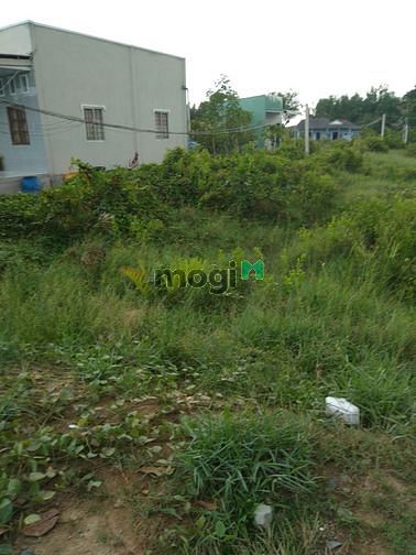 Hình ảnh Bán nhanh 2 lô đất 2 MẶT TIỀN đường 15m Cần Đước, Long An.