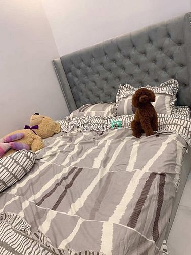 Hình ảnh Phạm Văn Chiêu, xe hơi đỗ cửa, nhà MỚI ở ngay