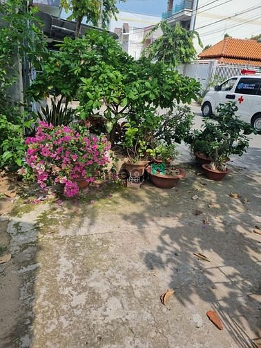 Hình ảnh Bán đất P.Bửu Long, vị trí đắc địa ngay trung tâm KDC Bửu Long