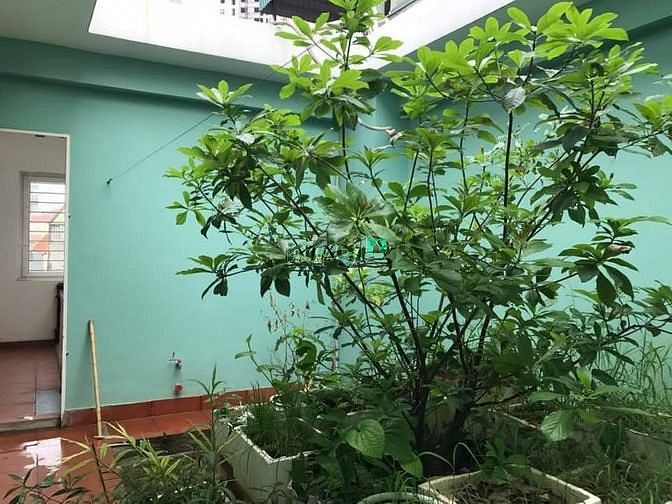 Hình ảnh Cho thuê nhà liền kề Quang Trung- Hà Đông