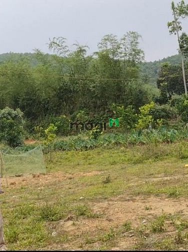 Hình ảnh siêu phẩm full thổ cư, 4 mặt tiền, view 4 mặt đồi núi, sông bôi