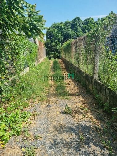 Hình ảnh Bán 137m2 đất sổ hồng riêng ngay đường Cây Dương - Bình Hòa - Vĩnh Cửu