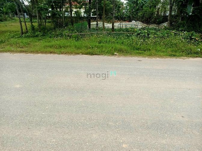 Hình ảnh Cần bán lô đất 125m mặt tiền đường Võ Nguyên Giáp, Quảng Minh, Sầm Sơn