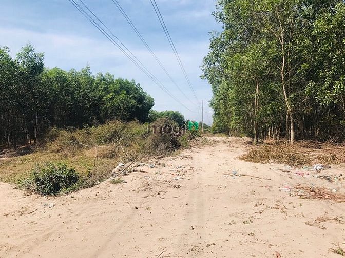 Hình ảnh Đất giáp bà rịa 4 Ha 9 Tân Thắng giá 4 tỷ 5/ Ha