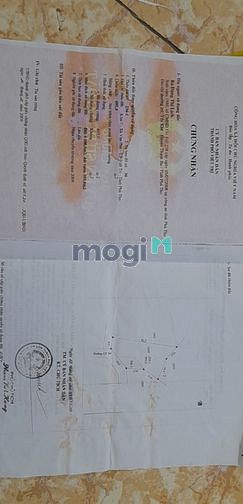 Hình ảnh xxxx xxxx xxx xxxx ccccccccccccccccccccccc
