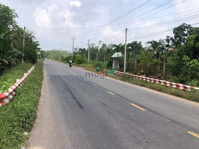 Hình ảnh Bán đất 2MT + Nhà +Vuờn Định Thành, Dầu Tiếng, DT:135x178, SHR, 15 tỷ