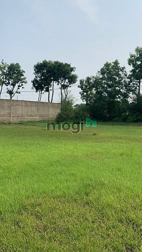 Hình ảnh xã Phước Vĩnh An, DT: 49m*44m, giá 18.7 tỷ