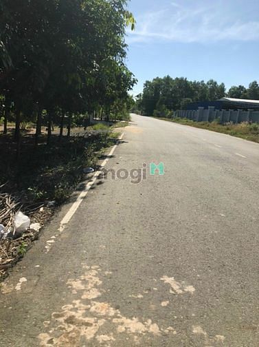 Hình ảnh xã Phú Mỹ Hưng, DT: 1260m2, giá 7.5 tỷ