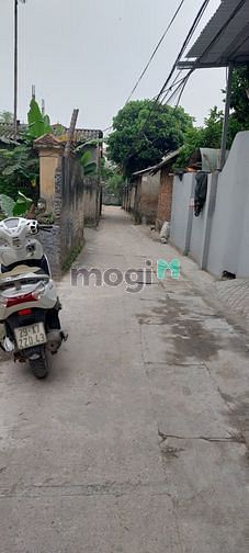 Hình ảnh Bán Gấp!!! 111m Đất tại Bình Minh, Thanh Oai, Ô tô đỗ.