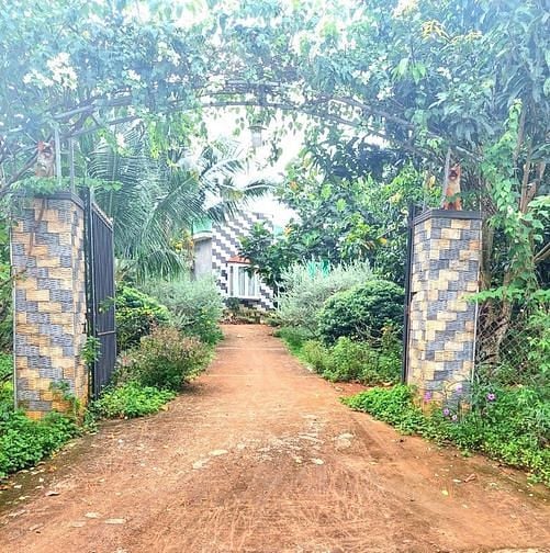 Hình ảnh Cần bán lô đất phủ hồng, đường bê tông,dân đông,view hồ Trị An