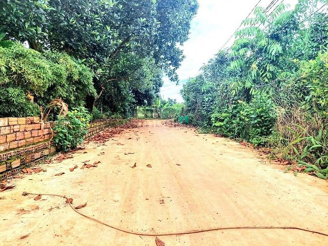 Hình ảnh Cần bán lô đất phủ hồng, đường bê tông,dân đông,view hồ Trị An
