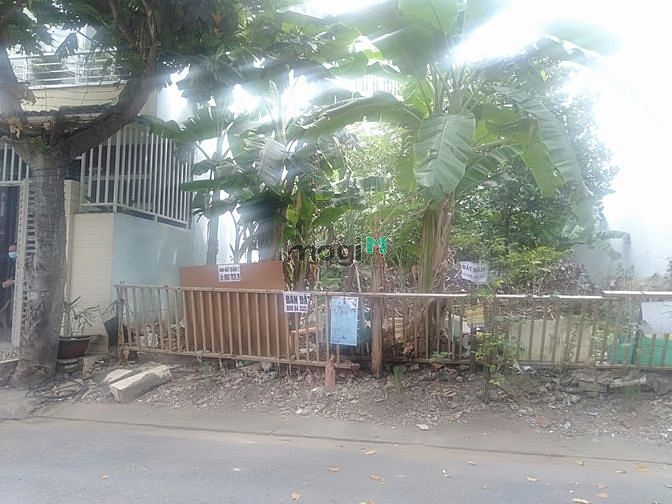 Hình ảnh Bán gấp nền đất 5m x 20m, An Phú An Khánh, Q2. Chỉ 16 tỷ