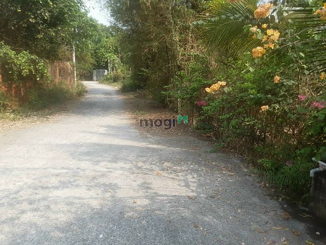 Hình ảnh xã An Nhơn Tây, DT: 2550m2, có 300 thổ, giá 9.5 tỷ