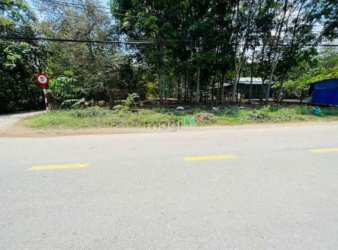 Hình ảnh xã Phú Hòa Đông,DT: 53*88m, có 185m2 thổ cư, giá 29 tỷ