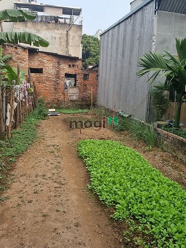 Hình ảnh Bán Gấp Đất Giang Biên, ngõ ô tô, DT 67m, MT 1/5m. nhỉnh 3 tỷ.