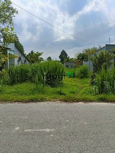 Hình ảnh Xã Thái Mỹ, DT:10m*39m, giá 2.550 tỷ