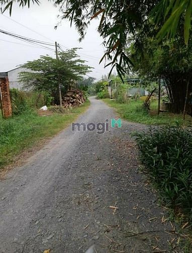 Hình ảnh xã Trung Lập Hạ, DT: 10m*44m, giá 3.550 tỷ