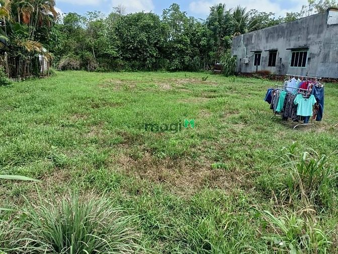 Hình ảnh xã Thái Mỹ,DT:20*35m có 300m2 thổ, giá 4ty9