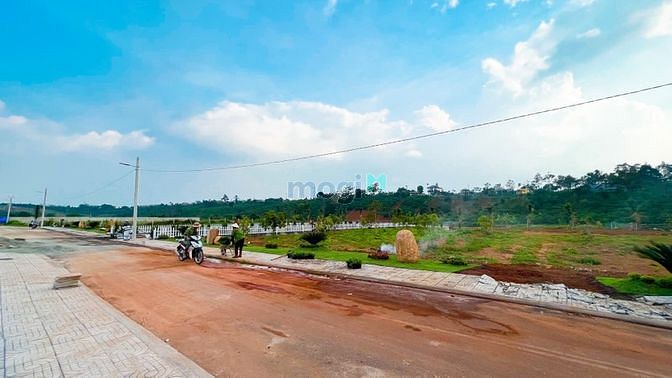 Hình ảnh Đất Thổ Cư Bảo Lộc SHR Công Chứng Ngay 5,5tr/m2