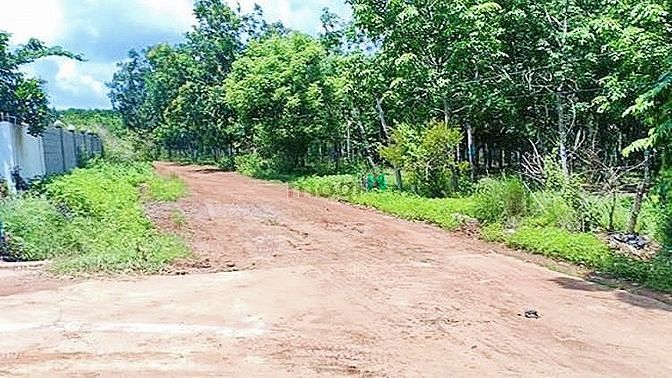 Hình ảnh Mua đất tặng nhà lô góc 2 mặt tiền sát QL13
