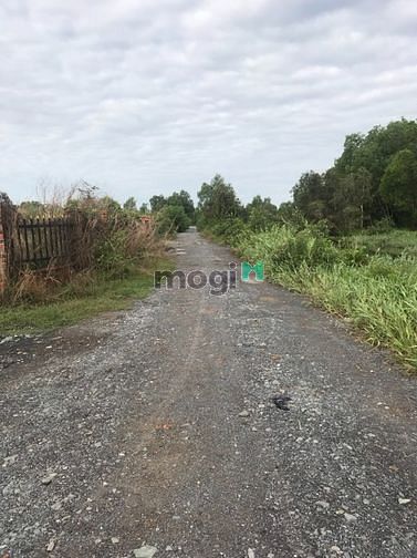 Hình ảnh Xã Phú Hòa Đông, DT: 1000m2, giá 3.650 tỷ