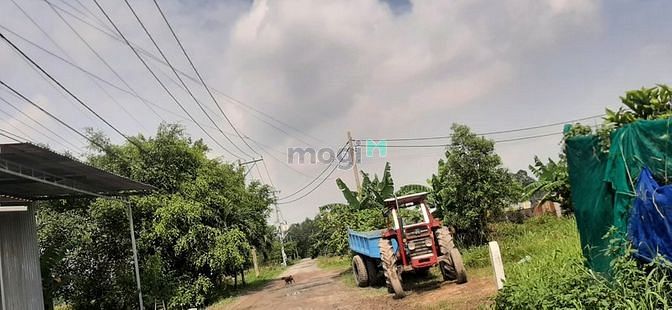 Hình ảnh Đất ngộp Bình Chánh, 52m2, giá chỉ 420tr