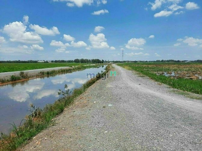 Hình ảnh Xã Tân Thạnh Đông, DT: 40m x 66m, giá 7.7 tỷ