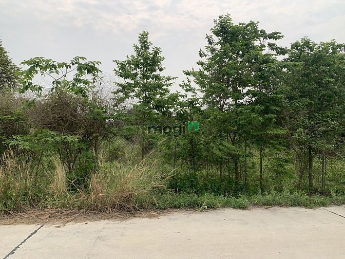 Hình ảnh Xã Trung Lập Thượng,DT: 1968m2, có 400m2 thổ, giá 7.6 tỷ
