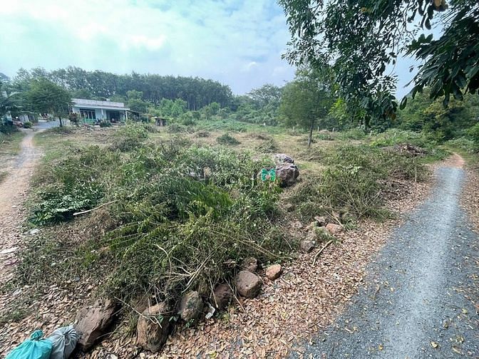 Hình ảnh xã Phước Vĩnh An,DT: 70m x 40m, 2500m2, full thổ, giá 24.5 tỷ
